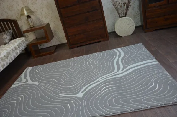 Dywany Lusczow Kusový koberec AKRYLOVÝ PATARA 0077 D.Sand/sivý, veľkosť 80x150