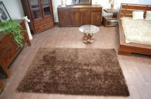 Dywany Lusczow Kusový koberec SHAGGY LILOU hnedý, veľkosť 130x190