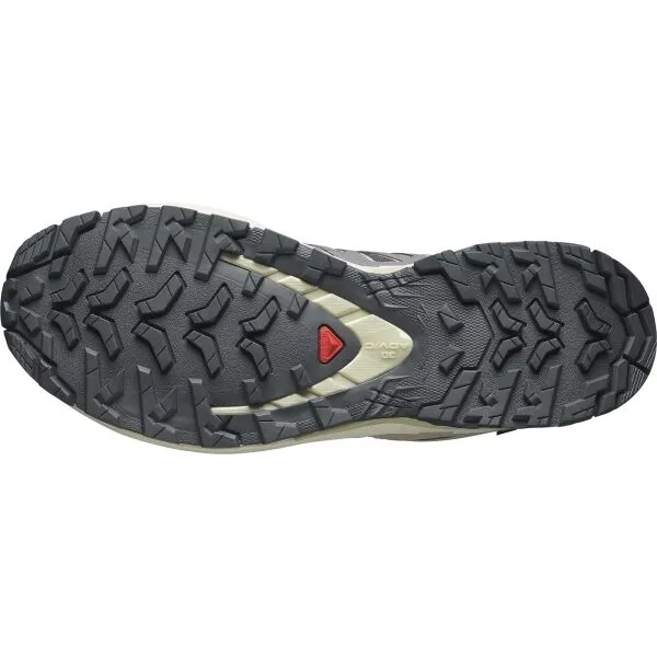 Salomon XA PRO 3D V9 GTX W Dámska obuv na trailový beh, béžová, veľkosť 42