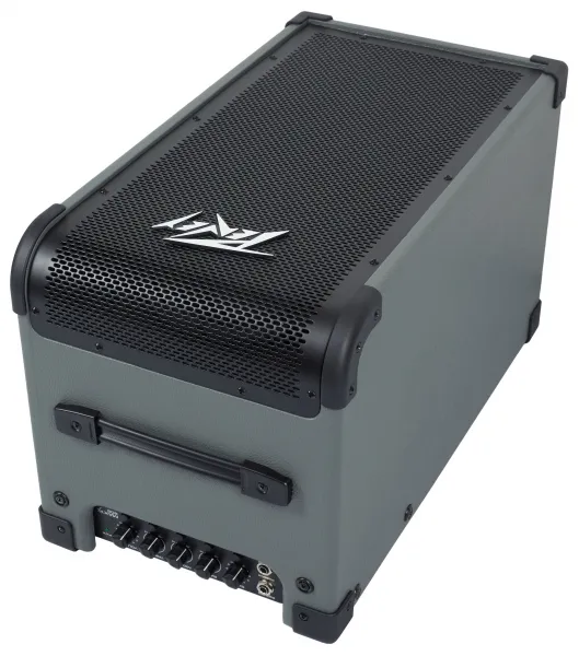 Peavey Max 208