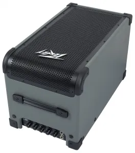 Peavey Max 208