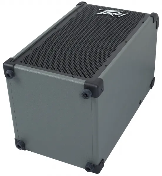 Peavey Max 208