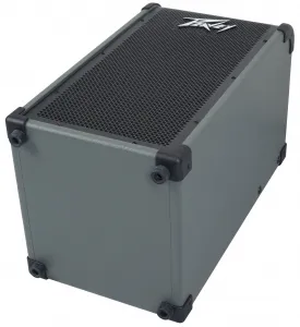 Peavey Max 208