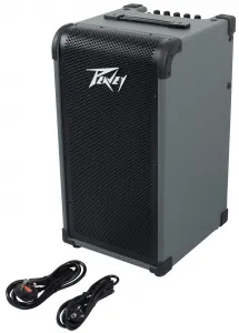 Peavey Max 208