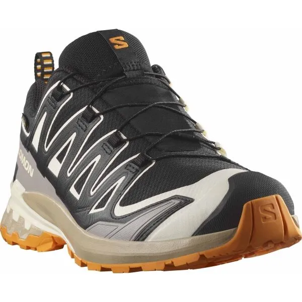 Salomon XA PRO 3D V9 GTX Pánska obuv na trailový beh, čierna, veľkosť 42