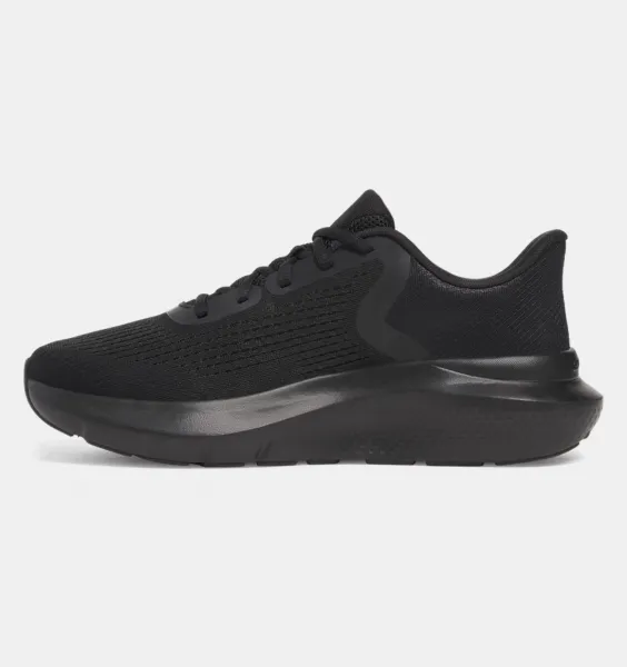 Men's shoes Under Armour Charged Rogue 5