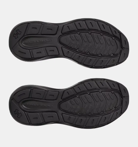 Men's shoes Under Armour Charged Rogue 5