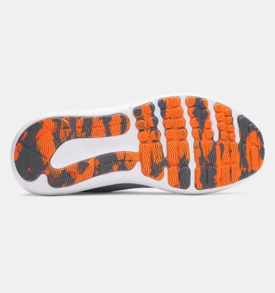 Men's shoes Under Armour Charged Surge 4