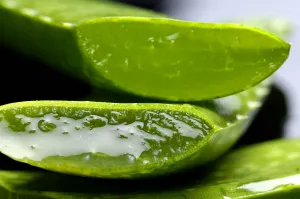 ESI Aloe Vera pomarančová šťava 1l