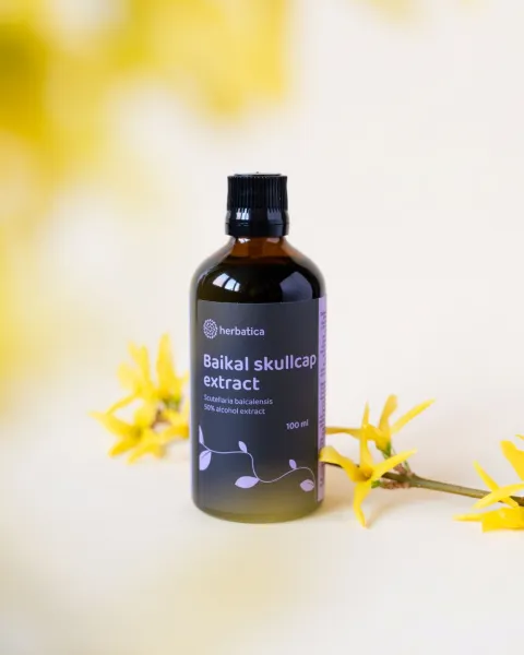 Šišiak bajkalský tinktúra - 100ml - Herbatica