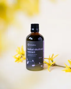 Šišiak bajkalský tinktúra - 100ml - Herbatica