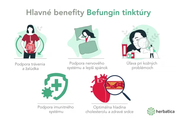 Befungin - tinktúra s extraktom z čagy sibírskej - 100 ml - Herbatica