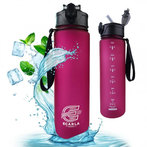 Livefy fľaša na vodu Sport 750 ml, bordová