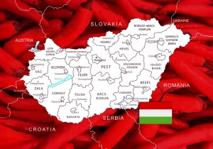 Obraz mapa Maďarska s typickým pozadím