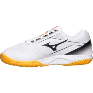 Mizuno CYCLONE SPEED 5 Pánska volejbalová obuv, biela, veľkosť 43