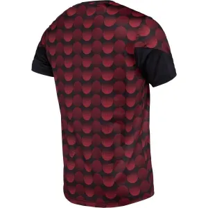 CASTORE FEYENOORD HOME PRE MATCH SS TEE Pánske futbalové tričko, vínová, veľkosť