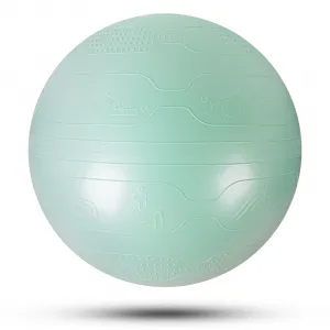 inSPORTline Stretch Ball 65 cm mocha mousse