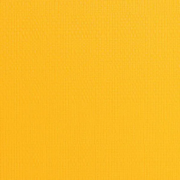 Plastové prestieranie TORO 28,5x44cm žlté