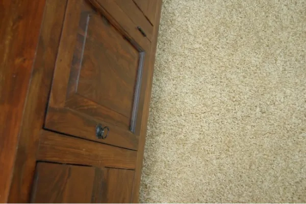 Koberec SHAGGY cesnak