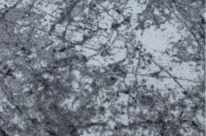 Koberec CONCRETE Beton sivý