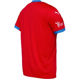 Puma HOME JERSEY M Pánsky hádzanársky dres, červená, veľkosť