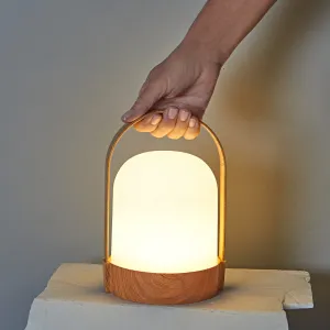 LED svietidlo s rukoväťou