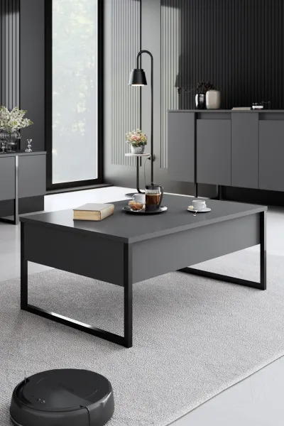 Living Room Furniture Set Luxe - Anthracite, Black