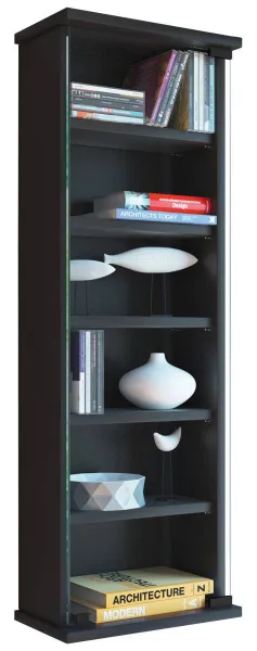 VCM Nástěnná vitrína Loposa na 150 CD, černý