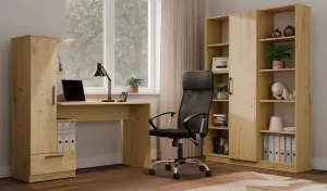 TP Living Písací stôl so vstavanou skriňou a policami COSMO dub artisan