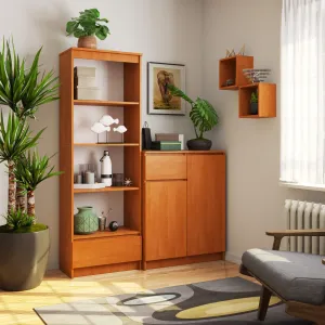 Ak furniture Kancelársky regál Rexa 60 cm 1 zásuvka a 4 police jelša