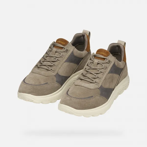 Grey men's sneakers Geox - Men's