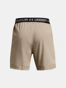 Men's shorts Under Armour UA Vanish Woven 6in Shorts-BRN - Men's