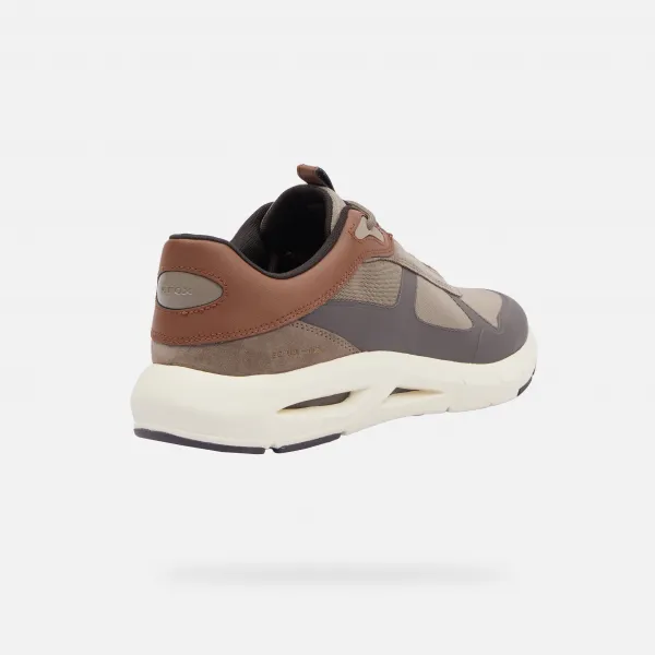 Beige men's sneakers Geox Spherica Ecub-5 - Men's