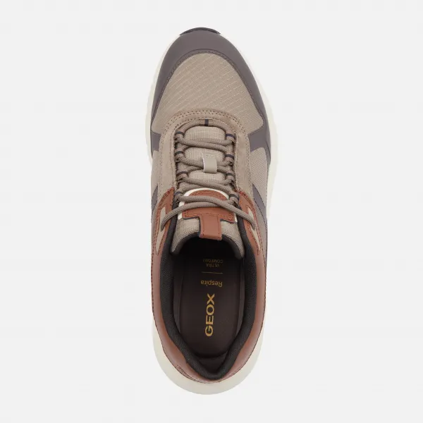 Beige men's sneakers Geox Spherica Ecub-5 - Men's