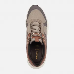 Beige men's sneakers Geox Spherica Ecub-5 - Men's