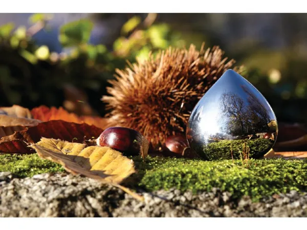 Dávkovač liekov Chestnut - Alessi