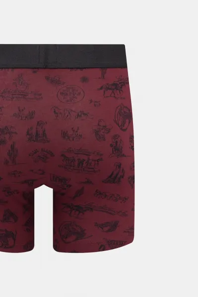 Boxerky Levi's 2-pak