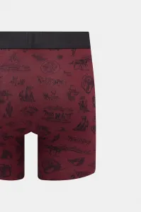 Boxerky Levi's 2-pak