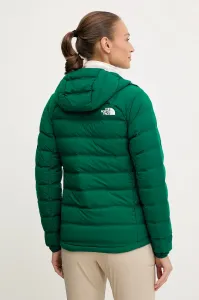 Bunda The North Face Abseil