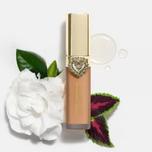 Dolce&Gabbana Everlast Concealer dlhotrvajúci korektor odtieň 26 Medium Deep - Neutral Undertones 11 ml