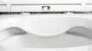 DEANTE - Okrúhla biela WC misa, so sedadlom, bez okraja CGRD6ZPW