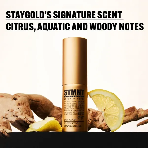 STMNT Staygold Spray Powder púdrový sprej pre definíciu a tvar 4 g