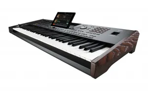 Korg Pa5X - 61