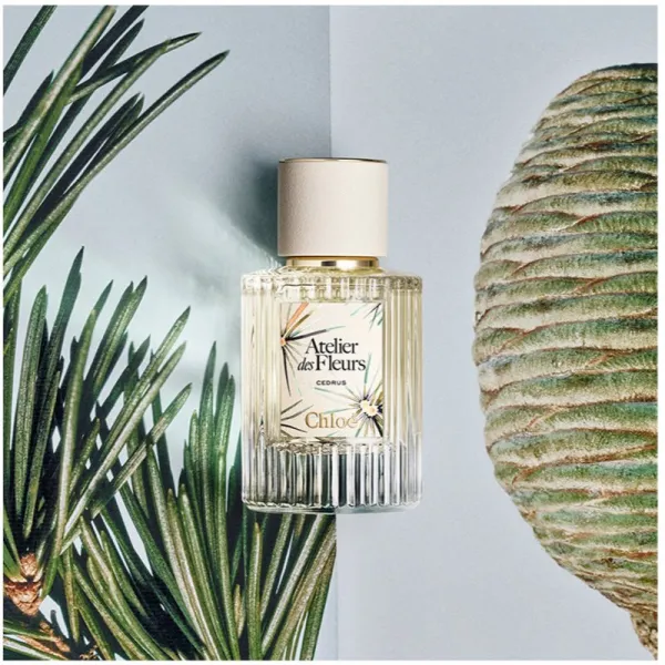 Chloé Atelier des Fleurs Cedrus parfumovaná voda pre ženy 50 ml