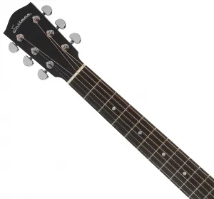 Eastman AC222LCE