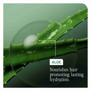 Biolage Essentials HydraSource šampón pre suché vlasy Refill 500 ml