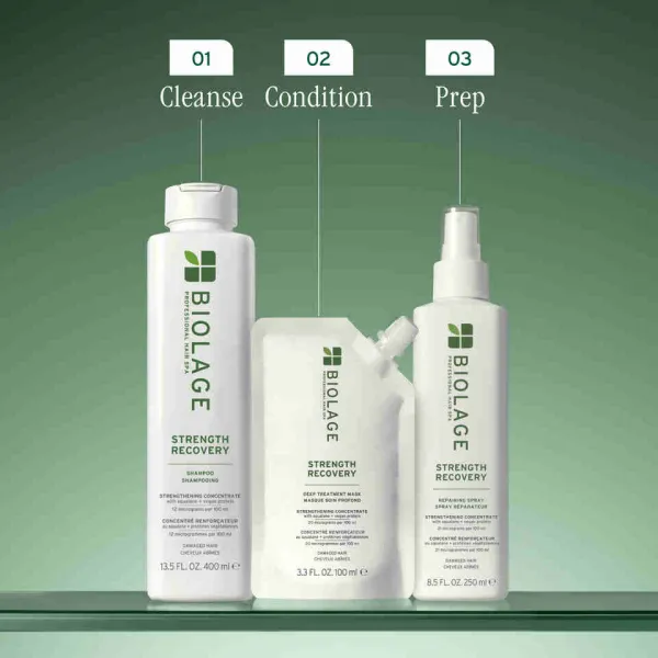 Hĺbkovo regeneračná maska pre poškodené vlasy Biolage Strength Recovery Deep Treatment Mask - 100 ml + darček zadarmo