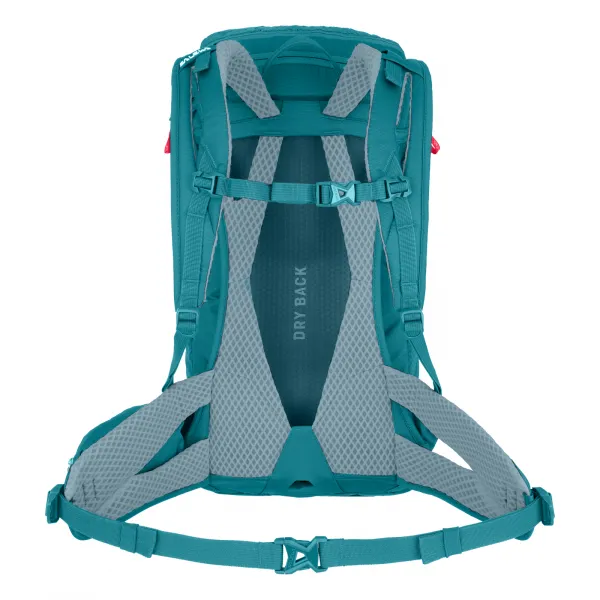 Salewa  Alp Trainer 20 WS syrah Batoh Turistika