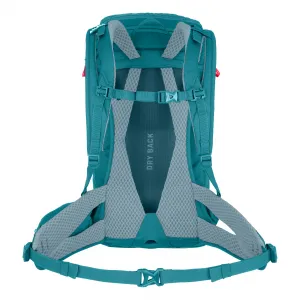 Salewa  Alp Trainer 20 WS syrah Batoh Turistika