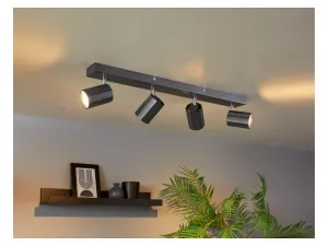 Livarno home Stropné svietidlo